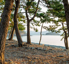 무술목 해수욕장