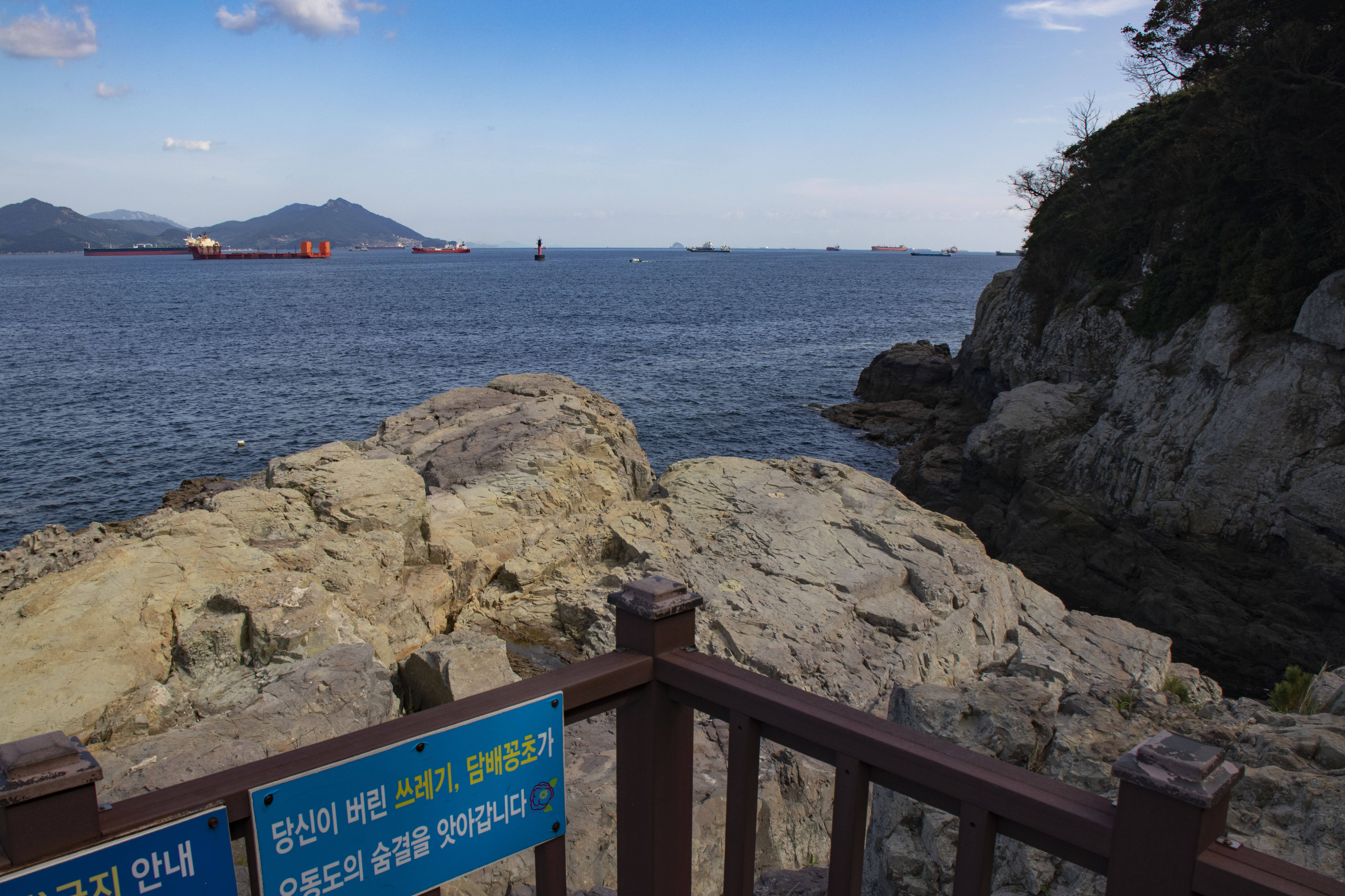 오동도