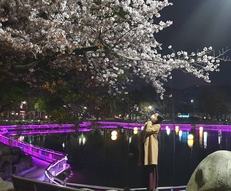 거북선공원 벚꽃 야경