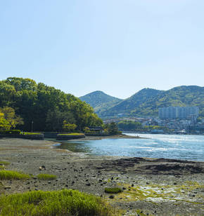 과거와 현재가 존재하는 아름다운 여수의 선소 유적지 봄 풍경