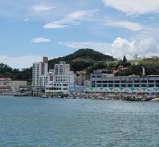 여수시티투어 낭만버스 1코스 오동도,진남관,이순신광장