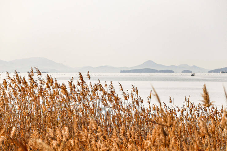 봉두길(남파랑길)