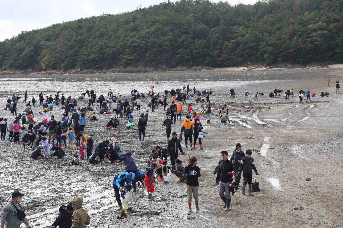 2022년 여수여자만갯벌노을체험행사