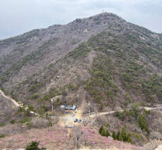 2023년 3월 14일 진달래 개화현황