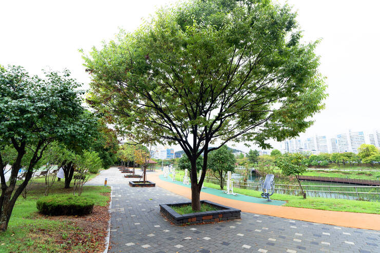 9894.jpg