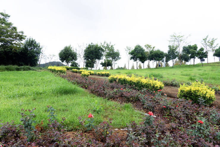 9981.jpg