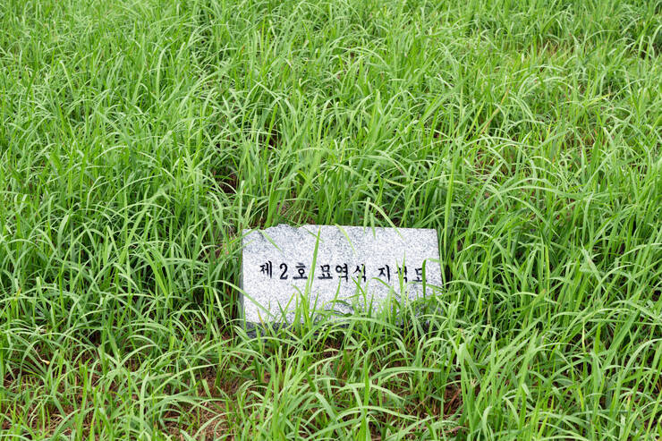 9989.jpg
