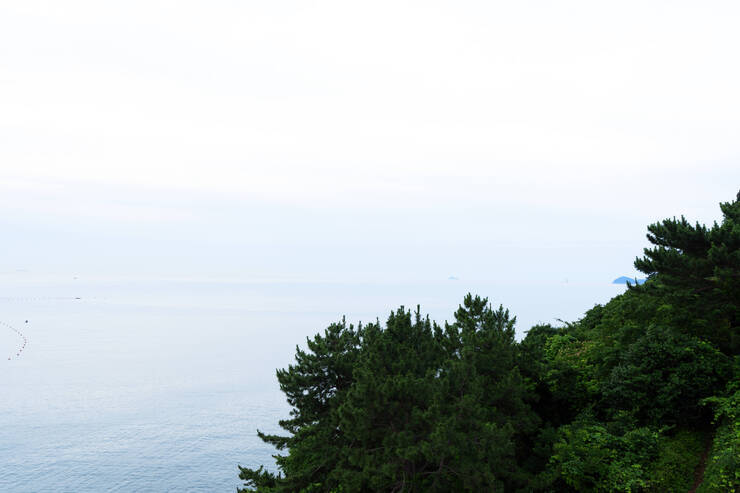 DSC01911 복사.jpg