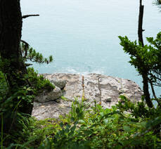 대교식당 돌게장