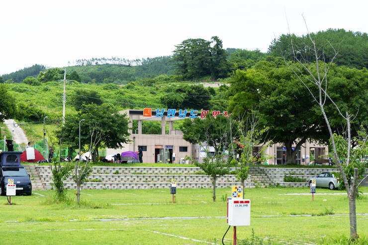 6155.jpg
