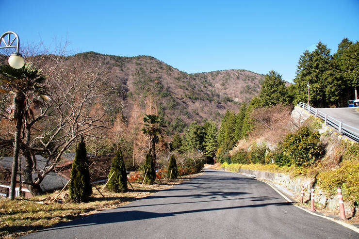 DSD_5042 복사.jpg