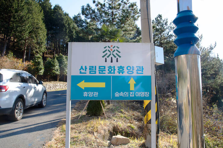 DSD_5045 복사.jpg