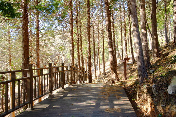 DSD_5067 복사.jpg
