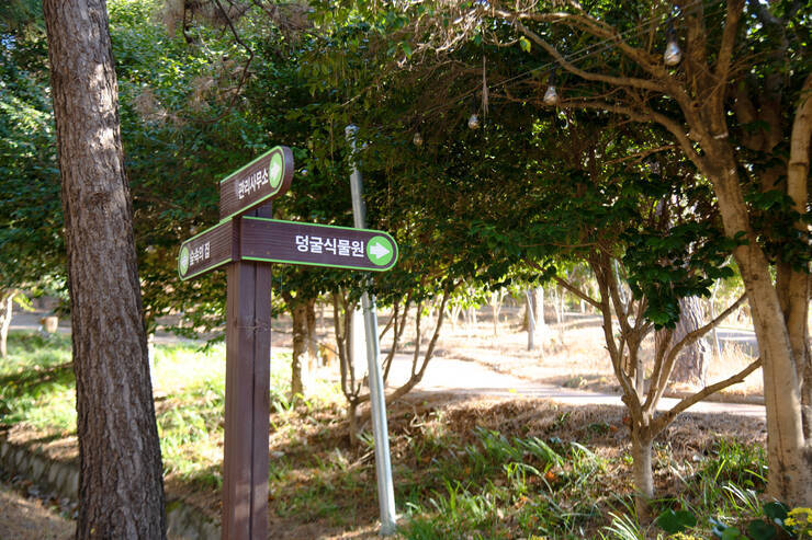 DSD_5087 복사.jpg