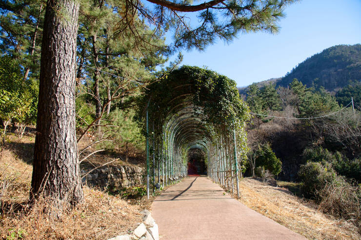 DSD_5089 복사.jpg