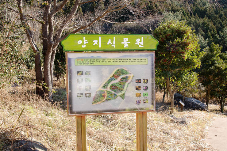DSD_5124 복사.jpg