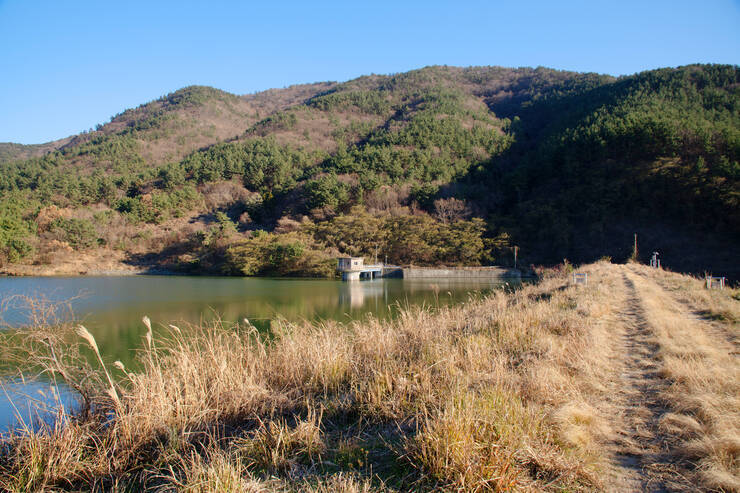 DSD_5154 복사.jpg