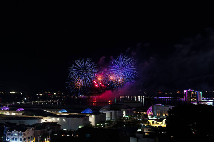 DSD_1237 복사.jpg