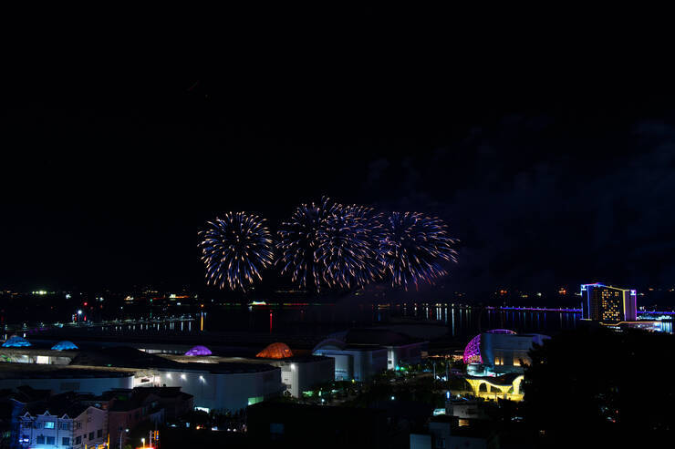 DSD_1241 복사.jpg