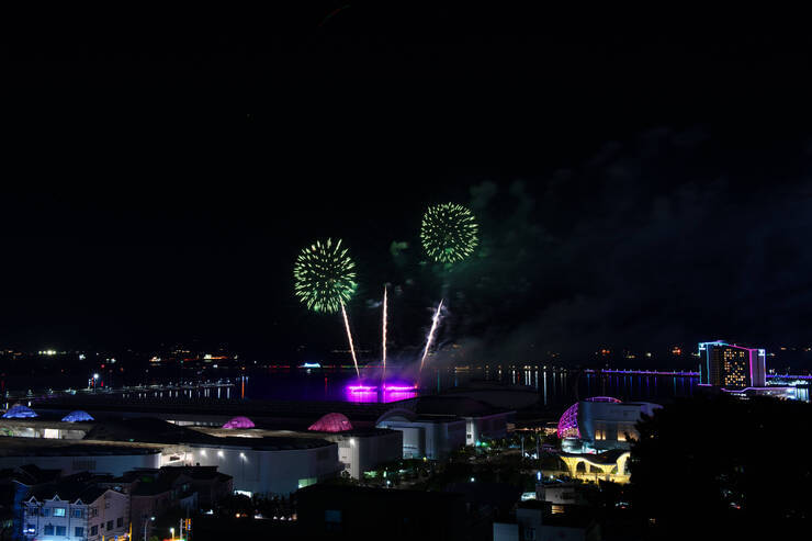 DSD_1244 복사.jpg