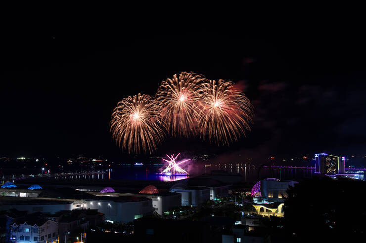DSD_1280 복사.jpg