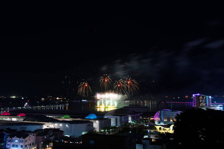 DSD_1290 복사.jpg