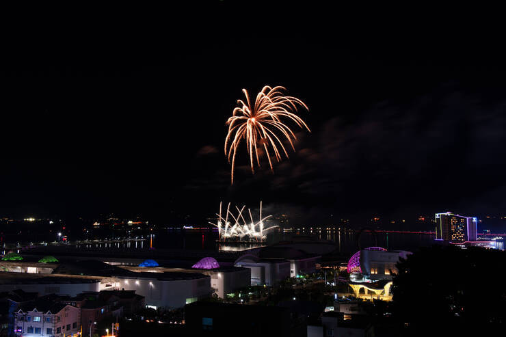 DSD_1296 복사.jpg