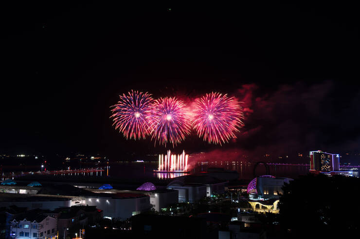DSD_1338 복사.jpg