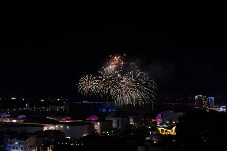 DSD_1408 복사.jpg