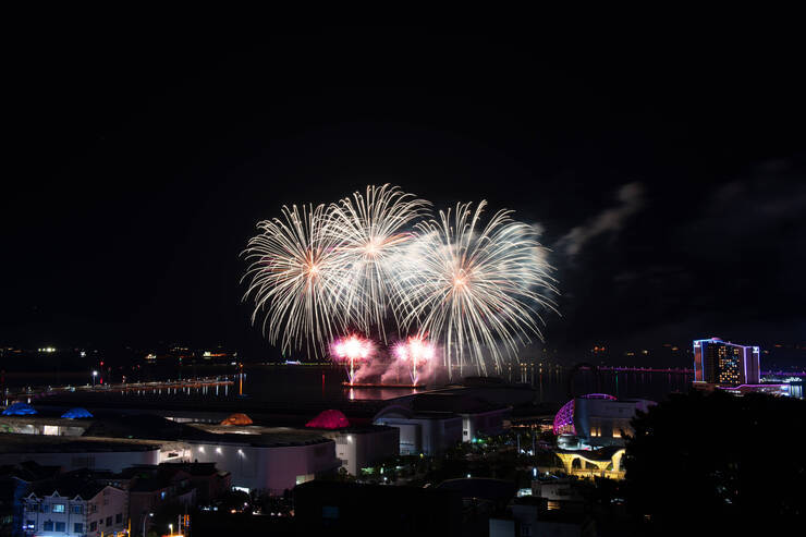 DSD_1422 복사.jpg