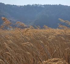낭만버스와 함께 하는 모녀여행