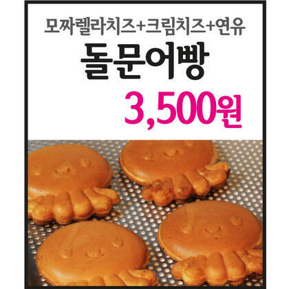 돌문어1.0,1000,1000