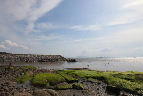 여자만갯벌의 7번째 이미지