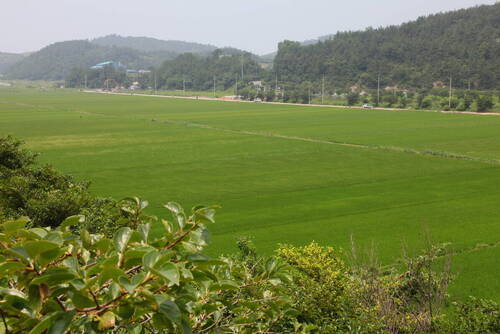 고뢰농장의 1번째 이미지