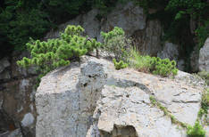 해녀굴(오동도)의 3번째 이미지