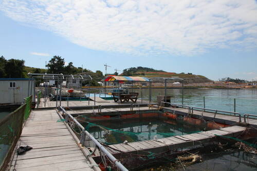 외동어촌체험마을의 1번째 이미지