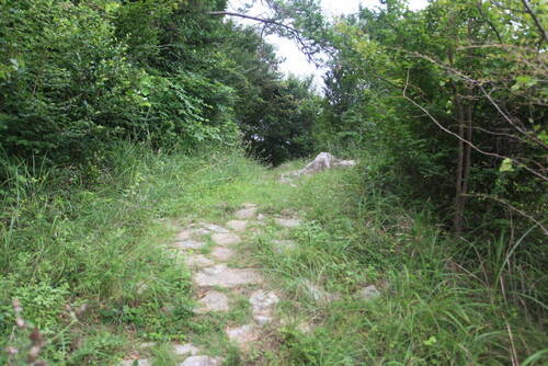 금오도 망산의 1번째 이미지