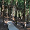봉화산 산림욕장 사진