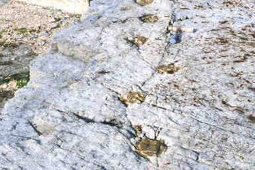 낭도 공룡발자국 화석지의 2번째 이미지