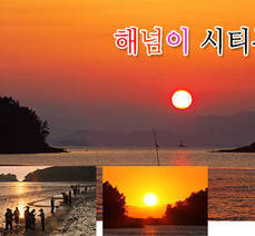 시티투어 여자만 해넘이코스 신규운행 정보