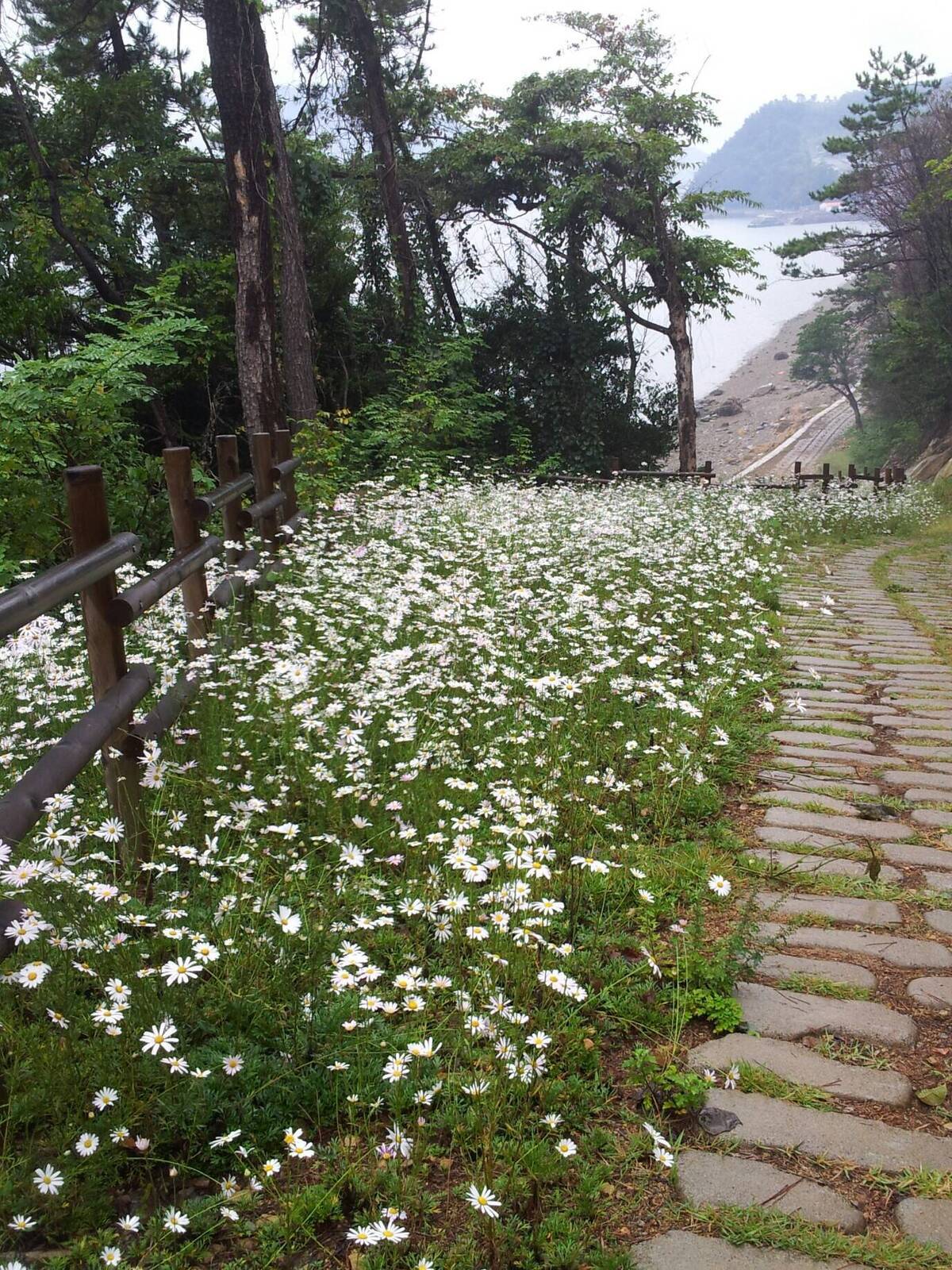 제11회 여수국제청소년축제「국제교류캠프 참가자」모집의 3번째 이미지