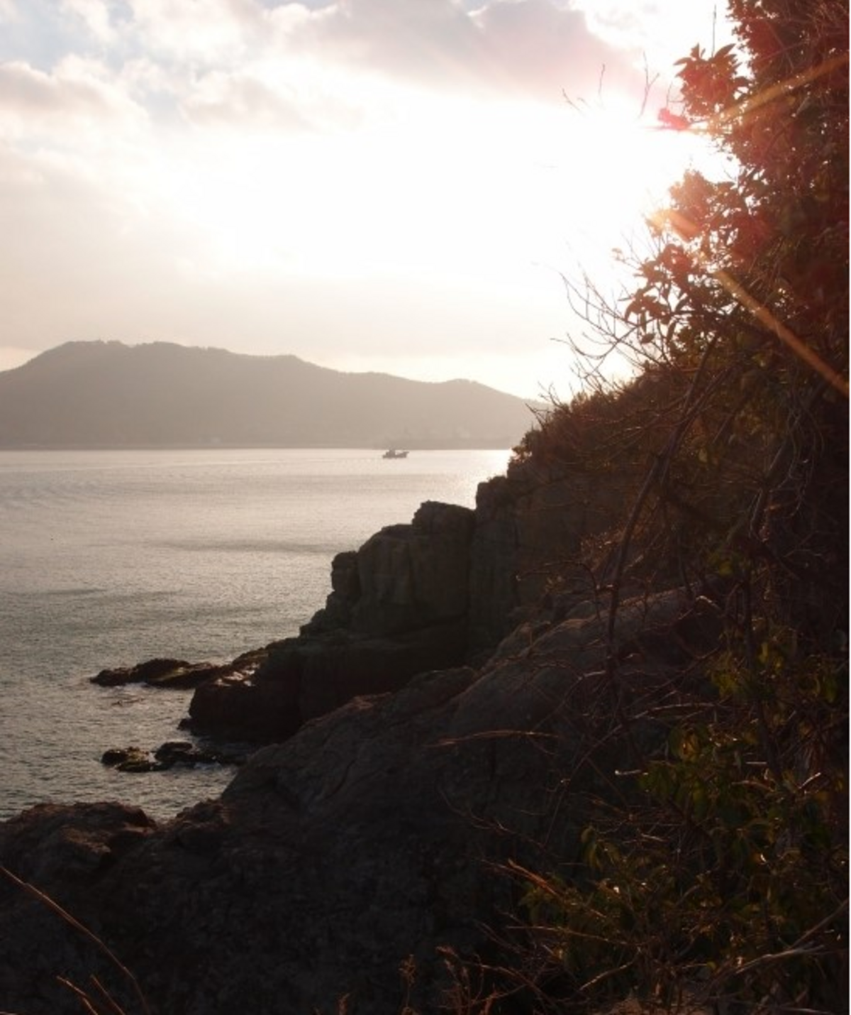 리플릿(2008)의 7번째 이미지