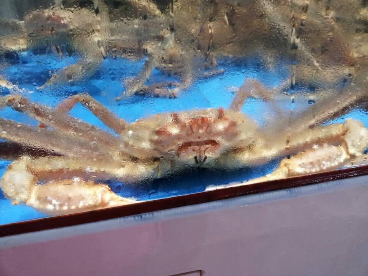 리플릿(2010)의 5번째 이미지