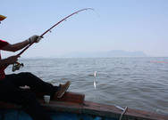 안도어촌체험마을