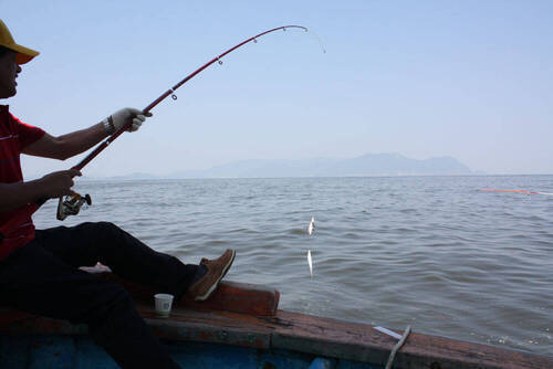 안도어촌체험마을의 4번째 이미지