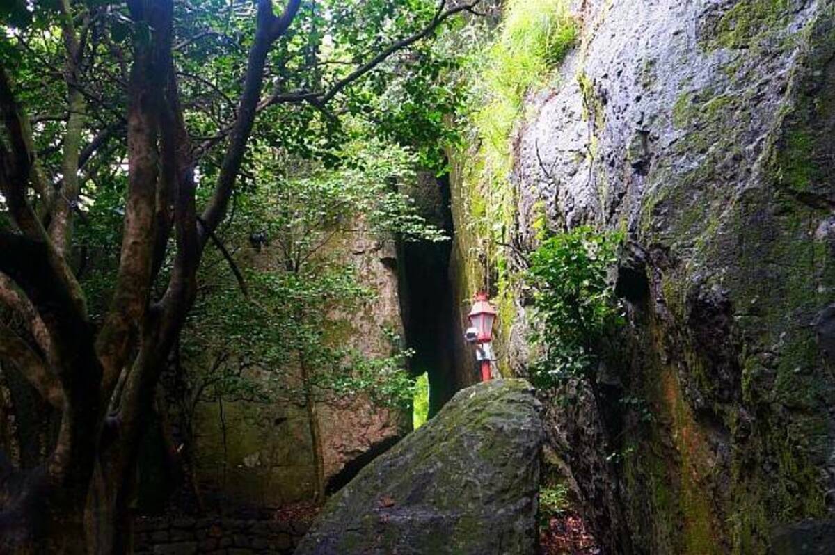 2008 리플릿의 3번째 이미지