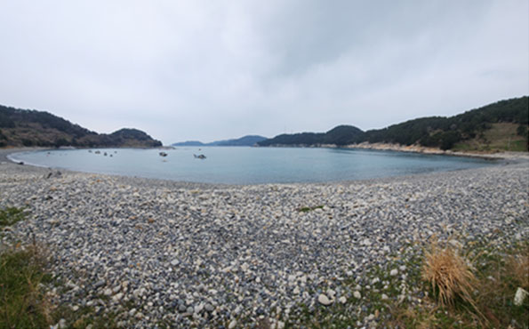 꼭적어주세요