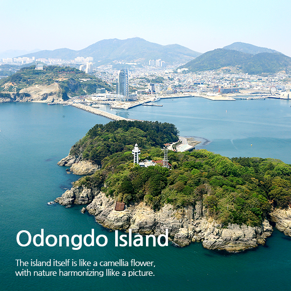 Odongdo Island - The island itself is like a camellia flower, with nature harmonizing llike a picture.