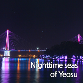Nighttime seas of Yeosu/Nightscape of Yeosu National Industrial Complex