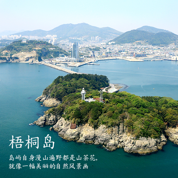 梧桐岛 岛屿自身漫山遍野都是山茶花, 就像一幅美丽的自然风景画